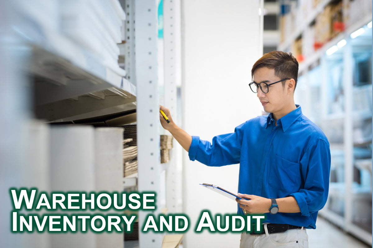digital-courses-Warehouse-Inventory-and-Audit-SIPMM